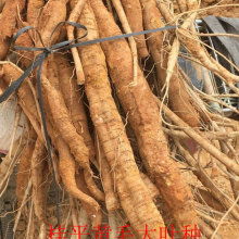 2018年粮食作物种子价格与批发行情分析（第5页·种子网洞察）