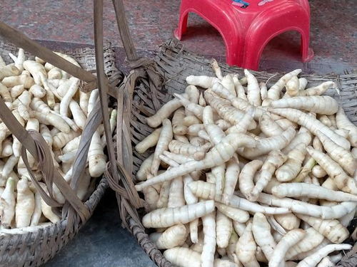 广东农民为何钟情这种“火热”农作物？近年种植潮的三大密码